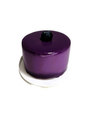 BLUEBERRY MOUSSE